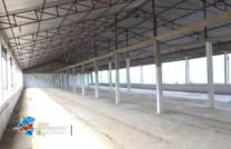 Ferme à Malulu, 123 hectares, 7.380.000$ mediacongo